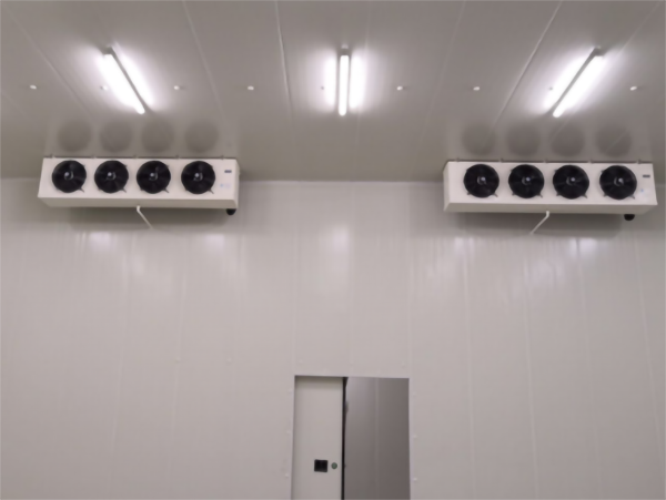 食品公司內建造一個1000平包子、水餃速凍冷庫費用是多少？