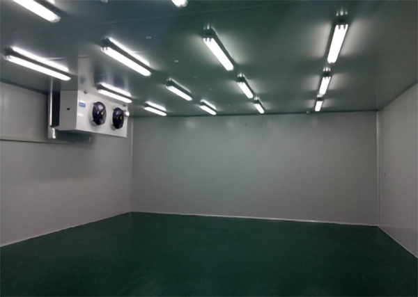 食品公司內建造1000平加工型冷庫大概費用是多少？