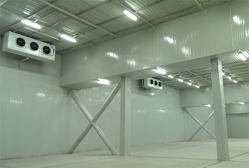 速凍冷庫設計注意事項及其具備功能有哪些？