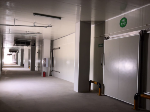 建造200噸的肉類冷鏈冷凍庫如何做好規劃設計？