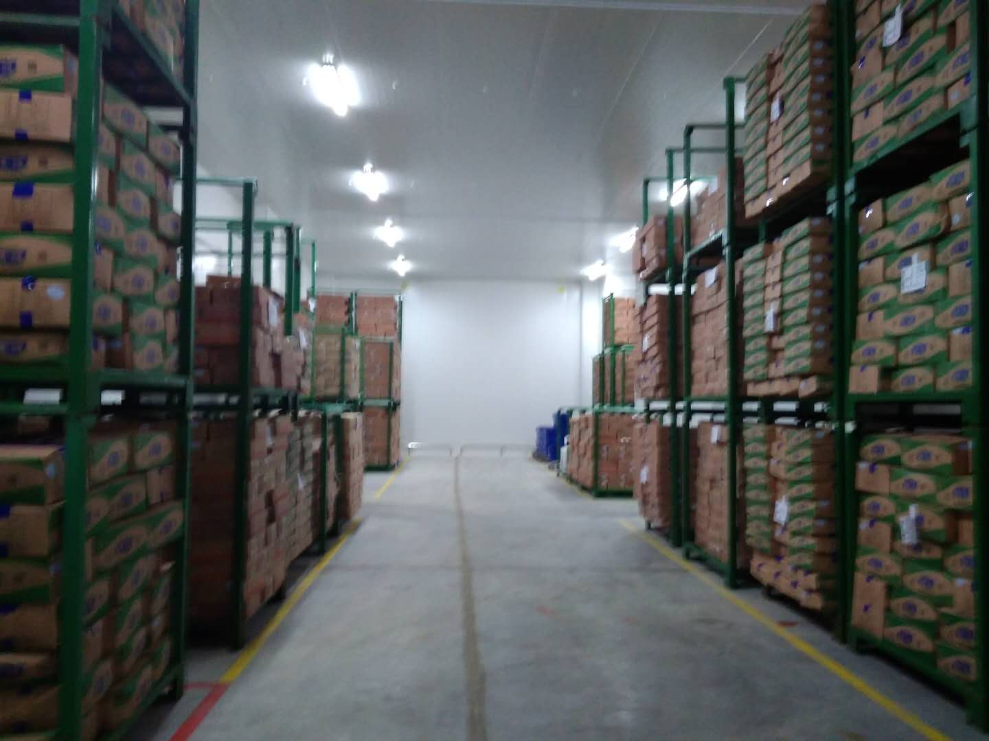 建設8500㎡陰涼物流低溫倉庫安裝配置方案費用是多少？