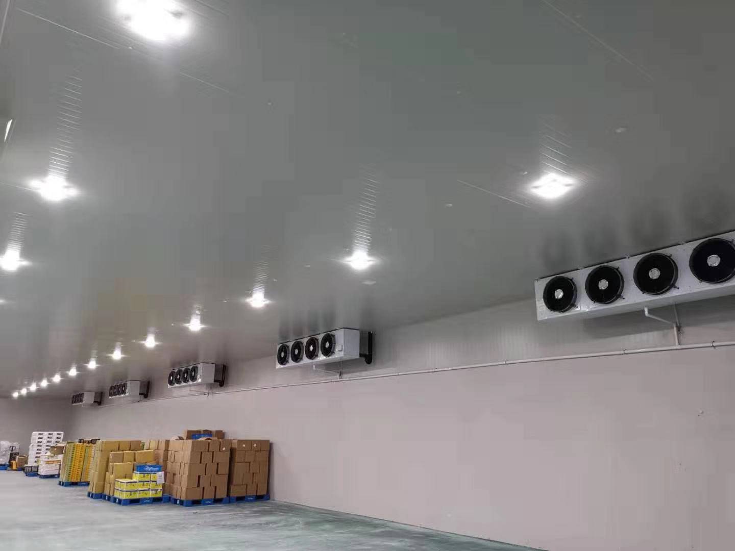 城市周邊建造一個8800平生鮮電商冷庫設計安裝費用？