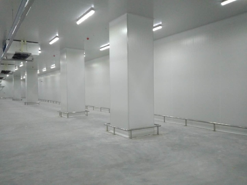 建造200噸的肉類冷鏈冷凍庫如何做好規劃設計？