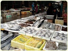 上海海鮮低溫冷庫建造，水產品低溫冷庫造價