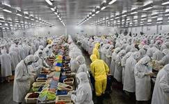 上海電商冷庫建造、運營