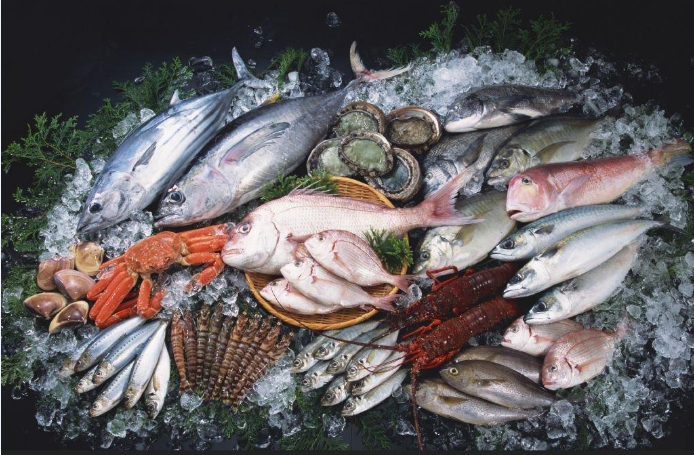 零下低溫凍魚冷庫工程設計，凍魚冷庫安裝管理