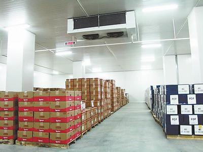 紅棗，大棗保鮮冷庫工程安裝冷庫建造