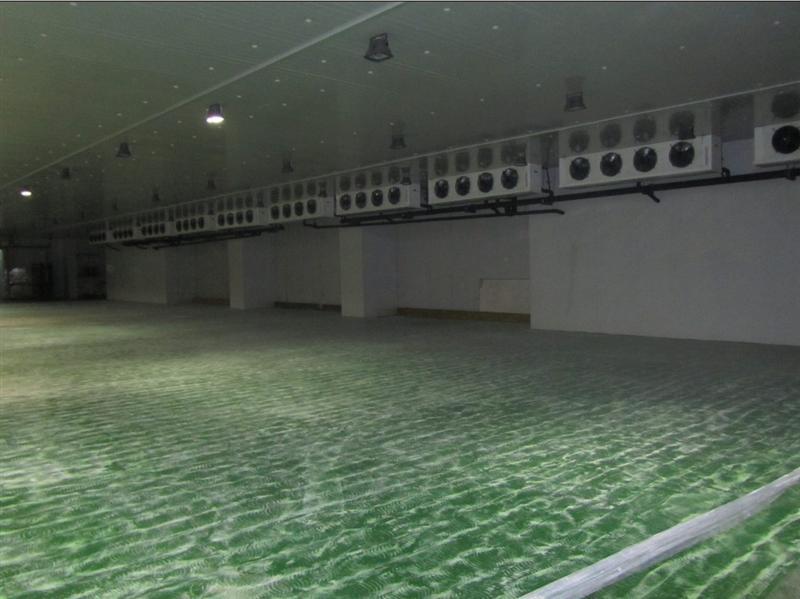 食品速凍冷庫安裝設計，速凍冷庫工作原理