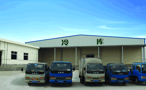 大型冷鏈物流冷藏車，果蔬冷庫安裝設計·