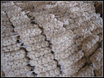 大蒜保鮮冷庫設計，冷庫安裝要求