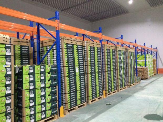 果蔬辣椒保鮮冷庫安裝，上海青椒保鮮冷庫造價