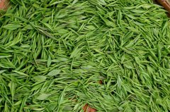 建一個低溫茶葉冷庫，冷凍庫耗電量及冷庫價格多少錢