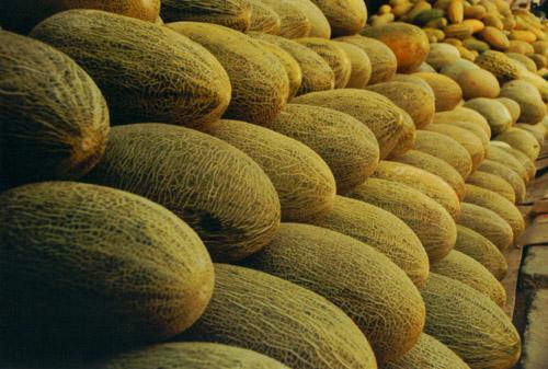 建一座哈密瓜保鮮庫需要多少投資？冷庫設備費用