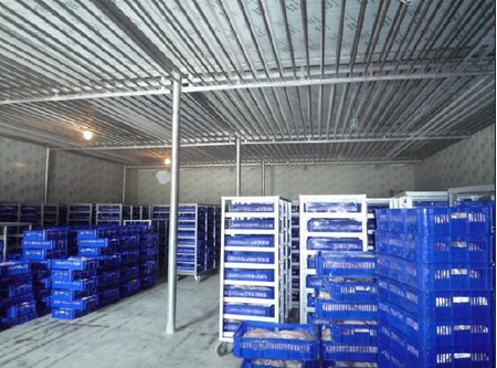 -18~-23℃冷凍庫哪種制冷方式好？（冷風機，鋁排）