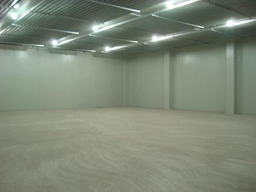 西蘭花冷庫存儲多久，100噸西蘭花冷庫建造多少錢