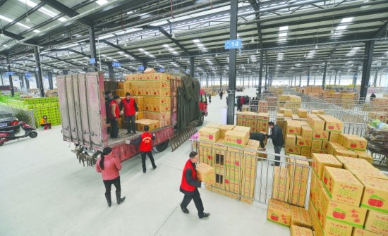 水果冷藏冷庫存儲時間？水果冷藏庫一平米造價多少？