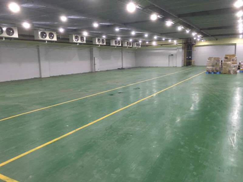 800平蘋果冷庫設計，水果冷藏庫安裝