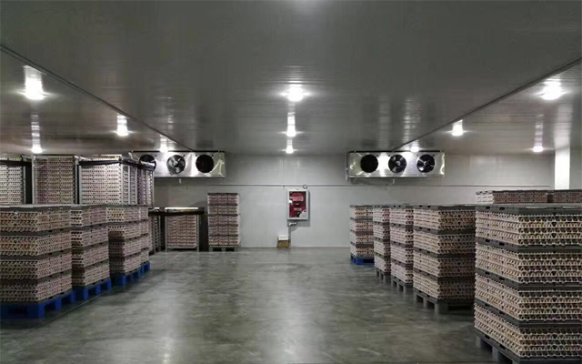 1000噸0-5℃蘋果冷藏庫多少錢，2-4℃冷藏庫建設
