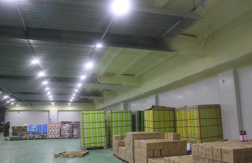 2000噸蘋果保鮮庫造價多少，0-5℃保鮮庫建造一平價格