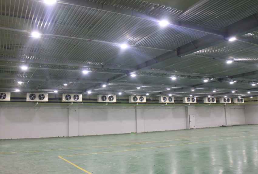  -18~-25℃冷庫設計建造價格，600噸冷凍庫造價