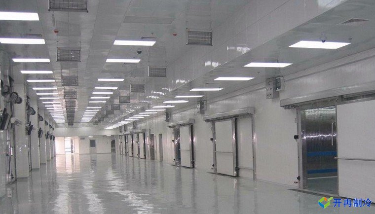 建造500噸帶魚低溫冷庫，海鮮冷凍庫報價