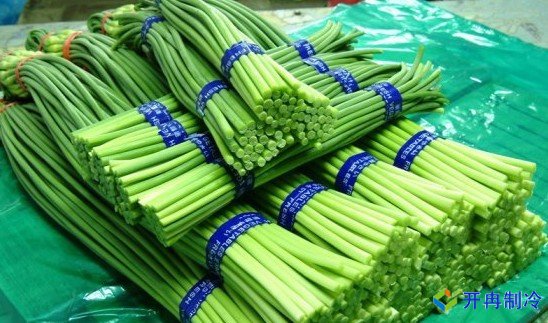 3000噸蒜薹冷庫前期規劃，冷庫造價預算多少錢