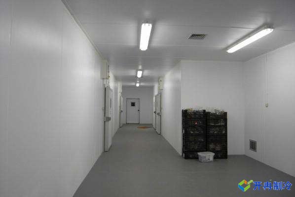 5000噸肉制品冷凍庫造價預算，上海建冷庫哪家好