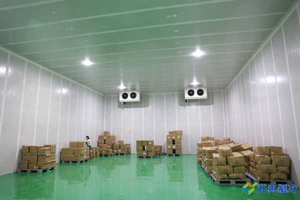 食品廠建造6000平米冷庫，冷庫造價有哪些費用