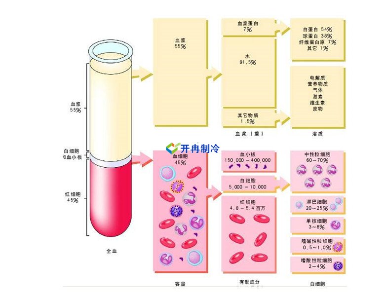 -30℃～-80℃血漿蛋白低溫冷凍庫規范，冷庫安裝價格