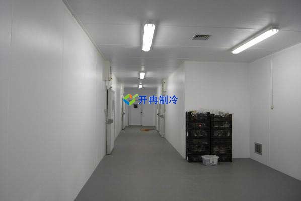 定制酒店冷凍庫、食堂雙溫庫、餐飲冷藏庫工程造價